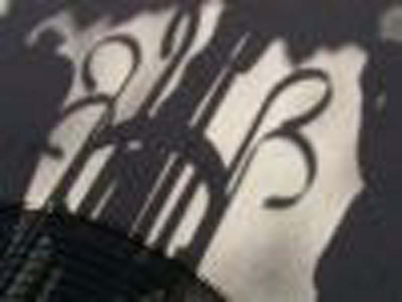 Shadow Mickey [Outside Brown Derby: shadow thrown by fence around tree]