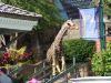 Even the wildlife shop at the Marketplace! (Actually, I think WE're the wildlife!)